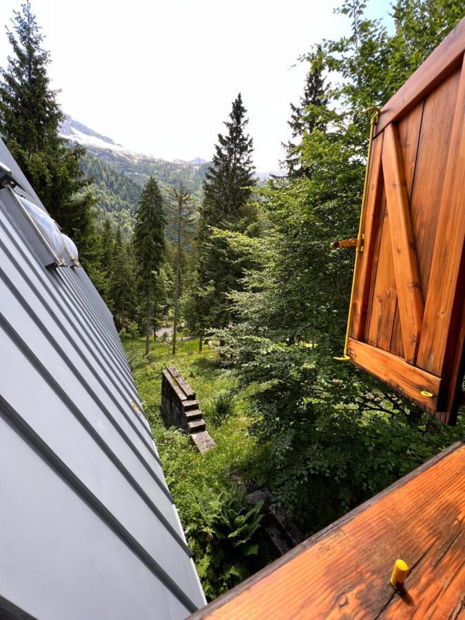 ~Chalet_Rifugio Tra I Boschi~ Sella Nevea Bagian luar foto