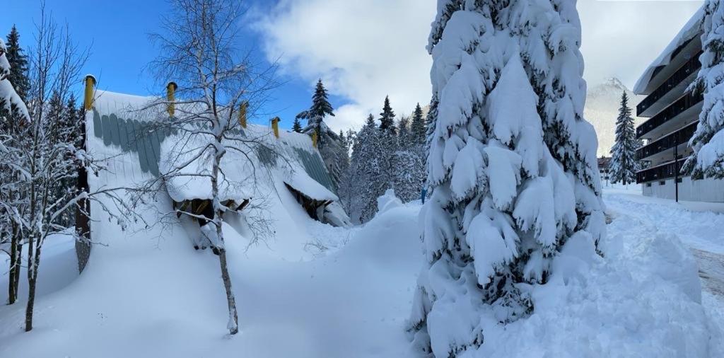 ~Chalet_Rifugio Tra I Boschi~ Sella Nevea Bagian luar foto